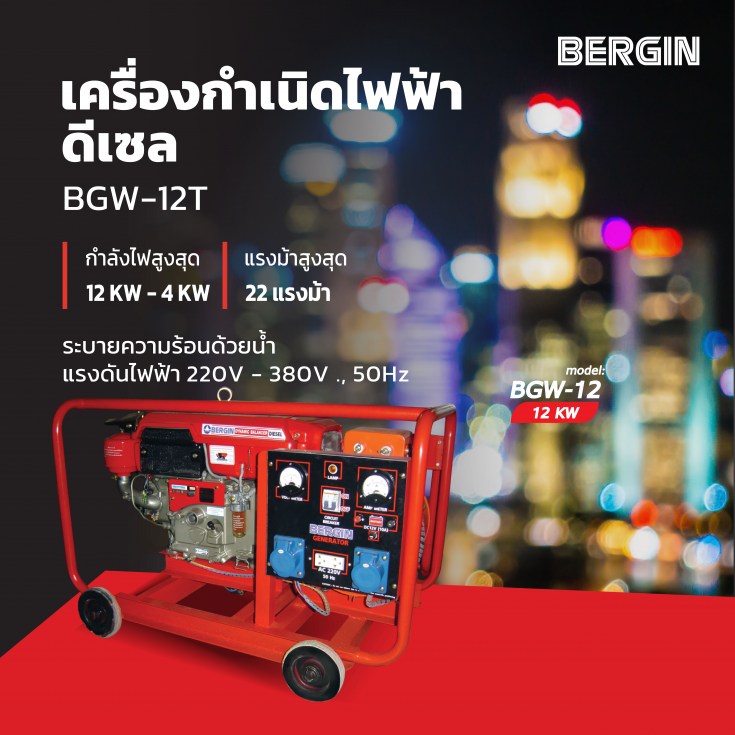 เครื่องกำเนิดไฟฟ้าดีเซล BERGIN BGW-12